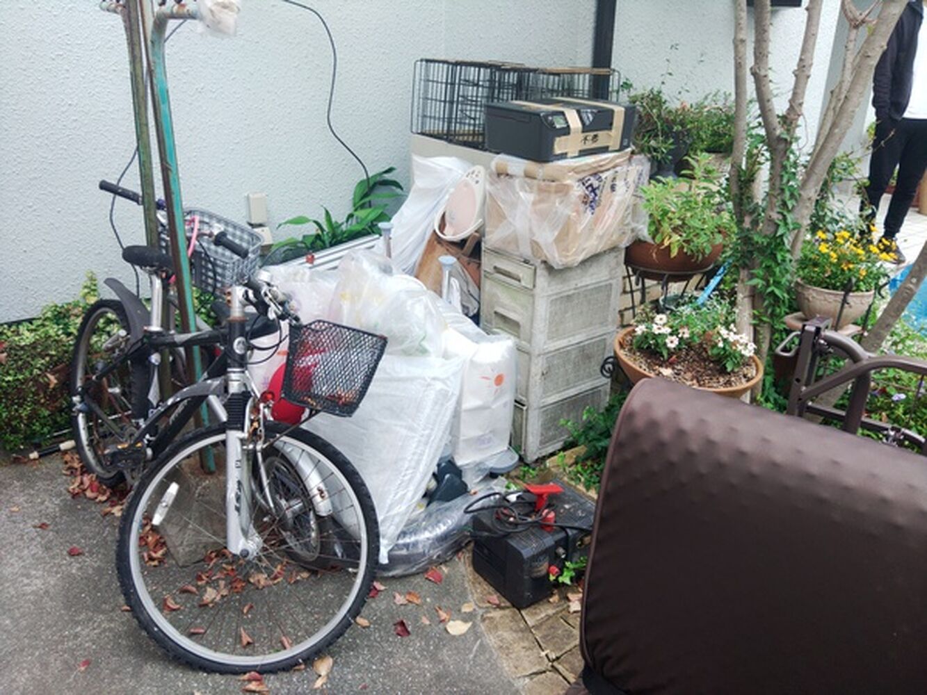 ブログ画像